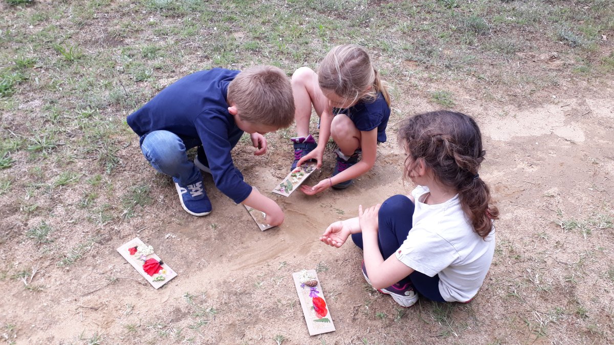 Atelier enfant Un groupe d'enfants observe des insectes lors d'un atelier pédagogique du RDEE