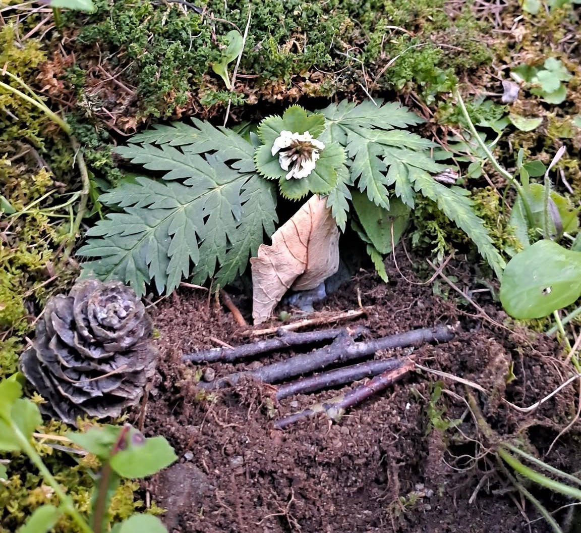 Miniature de cabane de lutin construite à même le sol dans la mousse et la terre. L'entrée est formée par une feuille morte de hêtre surmontée de feuilles de fougère et d'une petite fleur blanche. Devant la porte, un petit chemin est aménagé avec de fin morceaux de bois posés en travers, et une pomme de pin se trouve sur le côté.