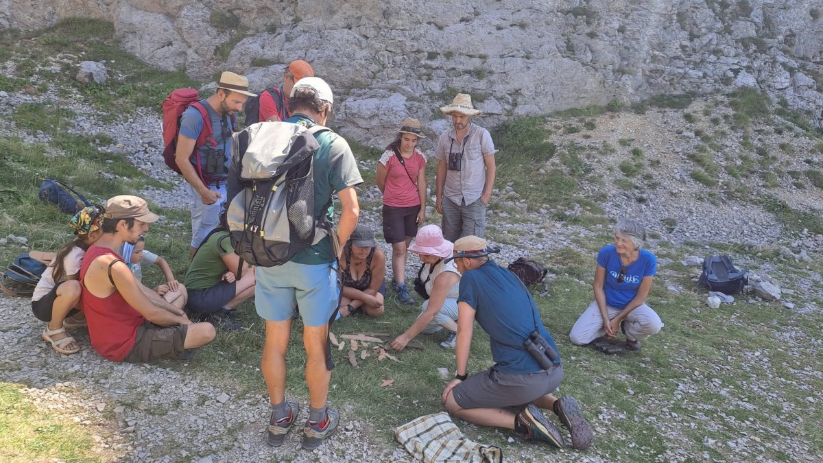 Coformation sur le terrain Un groupe d'adulte en montagne qui échange lors d'une pause naturaliste