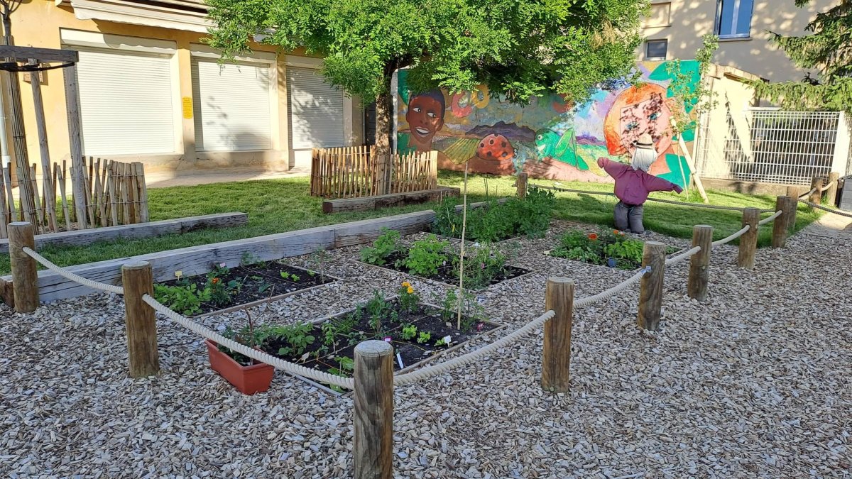 Des carrés potagers sont à disposition pour chaque classe