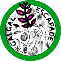 Galgal Escapade Galgal Escapade